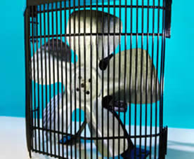 Application: welded wire for safety 